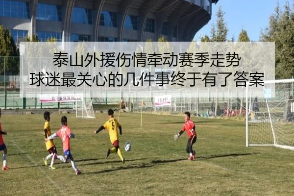 泰山外援伤情牵动赛季走势 球迷最关心的几件事终于有了答案